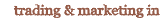 a High-Speed Internet Service